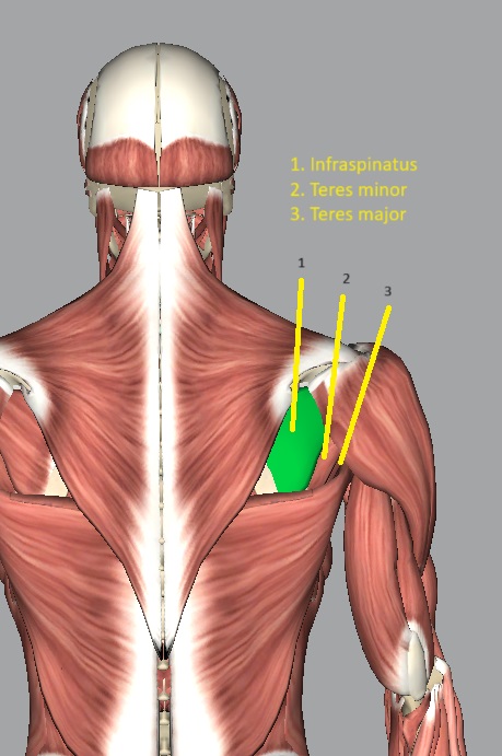 羽毛球零位擊球