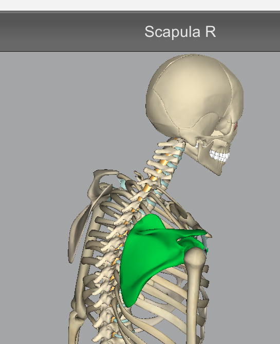 羽毛球零位擊球