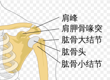 羽毛球零位擊球